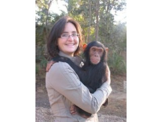 Home trained female baby chimpazee monkey looking for a new home Professional