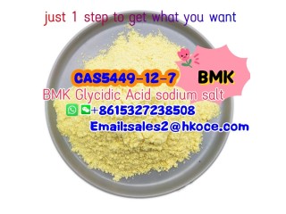 Factory supply New BMK Powder CAS 5449-12-7 Glycidic Acid sodium salt Free Freight