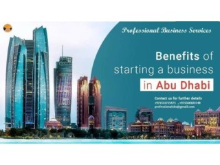 COMPANY SETUPS (ABU DHABI UAE)