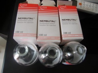 Buy Nembutal online, Buy nembutal pentobarbital sodium online, Order nembutal for sale, Nembutal Pentobarbital Capsules, powder and pills