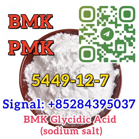 5449-12-7-new-bmk-sodium-salt-stock-on-sale-europe-market-big-1