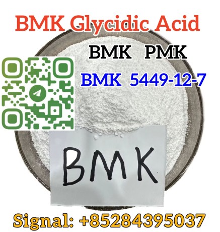 5449-12-7-new-bmk-sodium-salt-stock-on-sale-europe-market-big-2