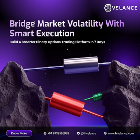 hire-developers-for-secure-binary-option-trading-platform-development-big-0