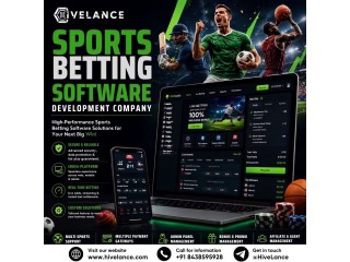 What Experience Should You Look for in a Sports Betting Software Development Company?
