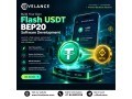 how-to-choose-a-flash-usdt-bep20-development-company-for-your-blockchain-project-small-0